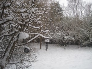 British Winter